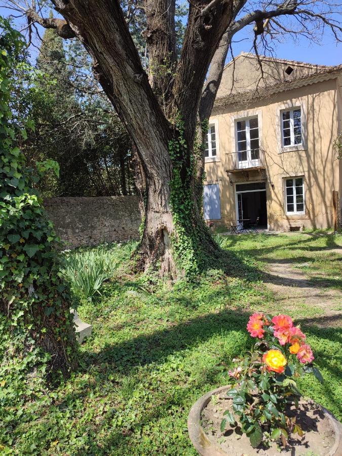 Le Mas Roc'Amour Roquemaure  Exterior foto